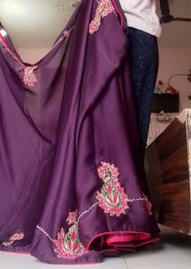 Bollywood Style Zimmy Choo Orgnza Silk Saree