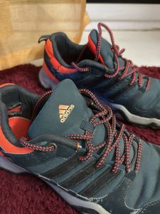 Adidas Men Trekking Shoes
