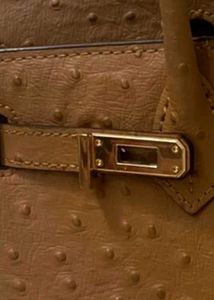 Ostrich Leather Hermes Handbag