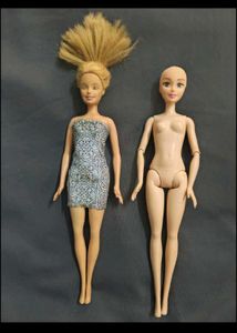 Barbie doll bundle