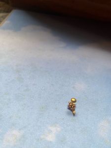 Gold nose pin 📌