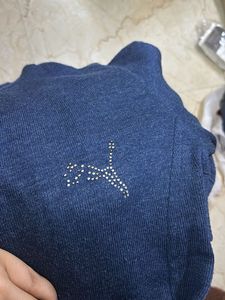 Puma Blue Hoodie
