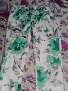 Printed Green And White Pant