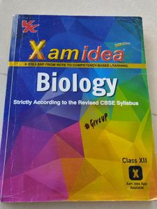 XAMIDEA CLASS 12
