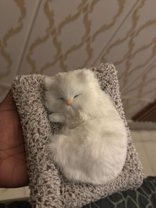 Cute Sleeping Cat Toy