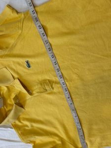 Lacoste Tshirt