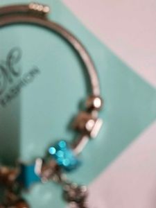 Charm Bracelet
