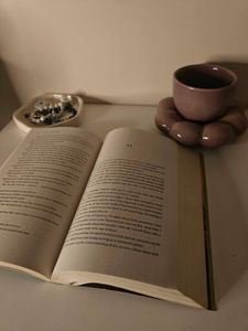 The Seven Husbands Of Evelyn Hugo Novel
