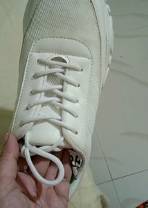 Sport Shoes