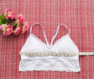 Forever 21 : Net Top