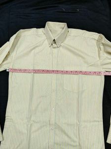 Light Yellow Formal Button Down Shirt