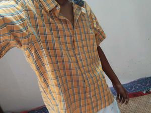 Crop Shirt