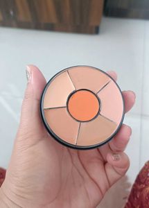 Insight Pro Concealer Palette