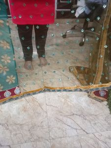 Double Shades Saree With Net Palla