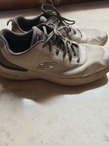 Skechers Shoes