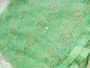 Net Dupatta