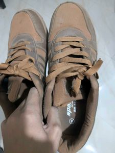 Sparx shoes