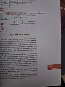 Class 12 Biology Text Book, Ncert