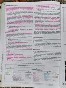 Human Anatomy Vol. 4 with workbook
