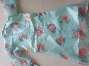 Organza Fabric Tunic Top