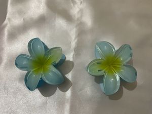 Hair Clip