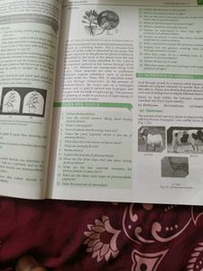 Class 10th CBSE Concise Biology By Oswal