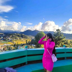 Chic Pink V-Neck Dress