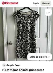 H&amp;M Leopard Print Dress