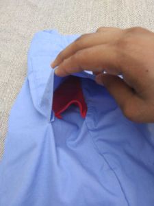Dickies Shorts