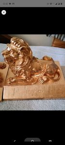 Dubai Lions