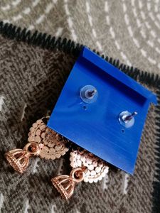 Fashion Dangle Earrings