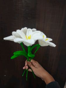 Viral Crochet Lilly 🤍