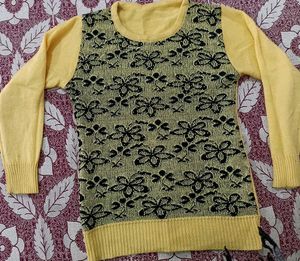 Beautiful Winter Top