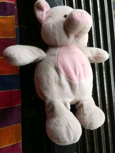 Teddy Bear 🩷 Pink