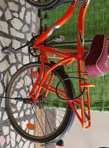 Orange Tron DNS Bicycle For Teenagers