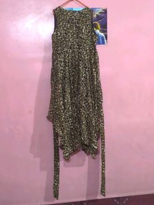 ( Worn Once) Animal Print Dress