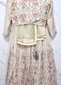 Elegant Lehenga Choli