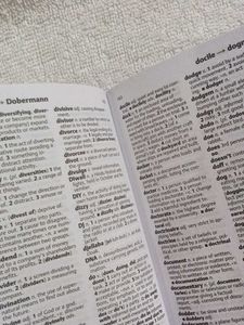Oxford Mini Dictionary