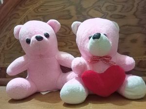 Cute Premium Soft Teddy Bears