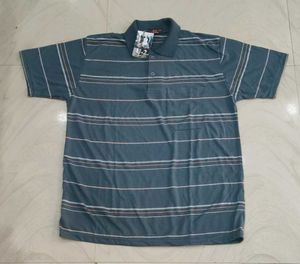 Striped Polo Shirt