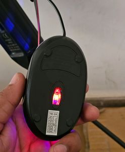 Mouse