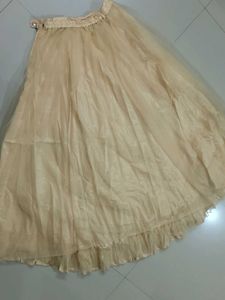 Elegant Embellished Ethnic Gown