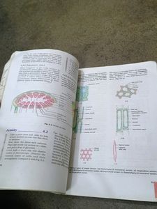 Class 9 Math Or Science