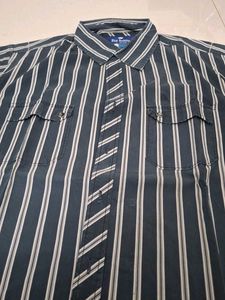 Striped Blue Buffalo Shirt