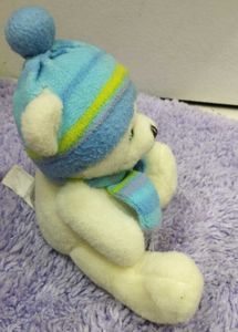 Teddy Bear In Winter Cloth Accessories