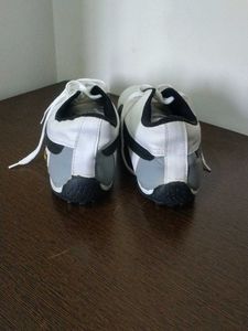 Puma Speecat