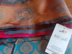 Pink Paisley Sari