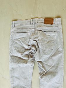 mens Pant