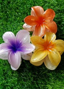 Floral Design Hair Clips Pack Of 3