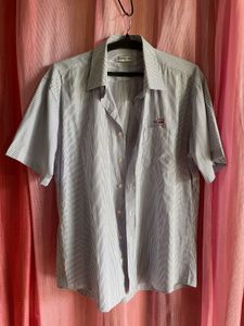 Striped Short Sleeve Button Down